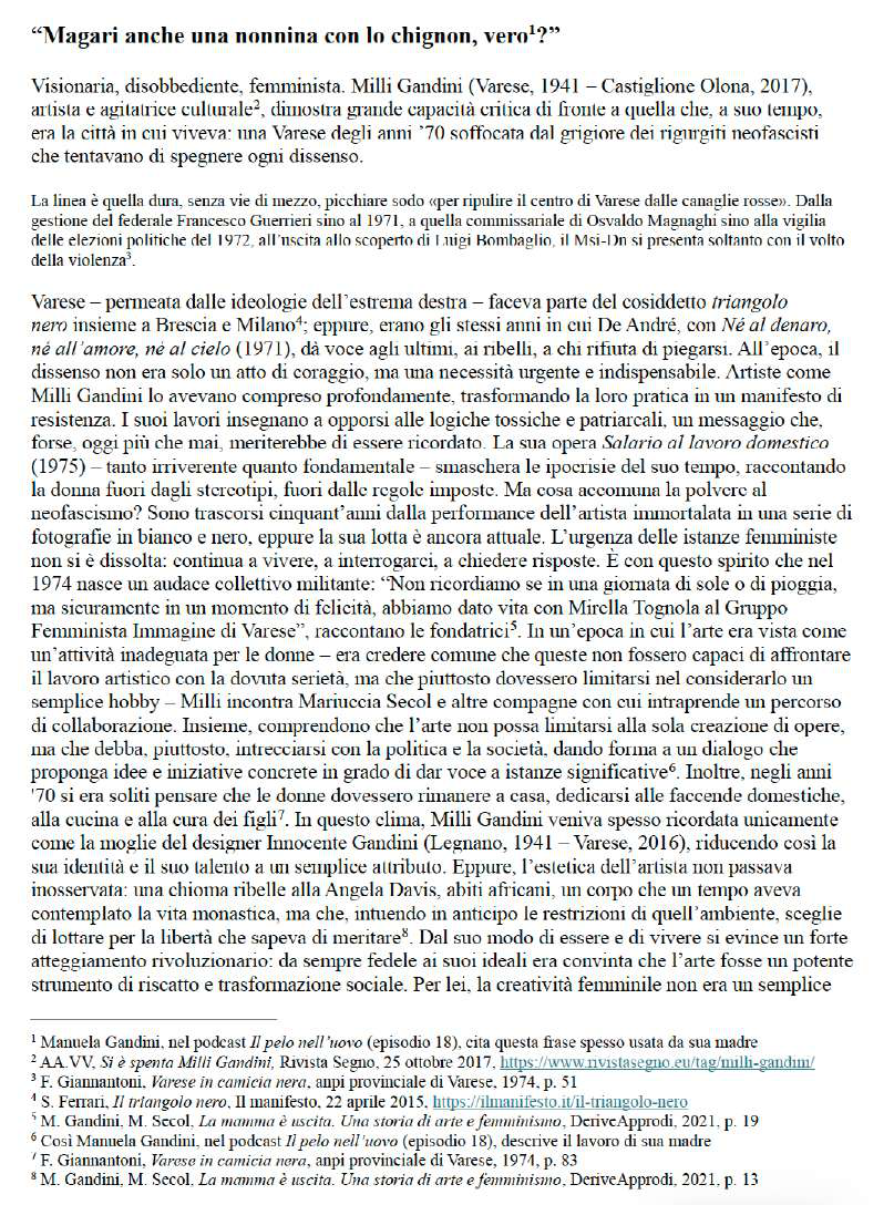 Gruppo Femminista Immagine di Varese
